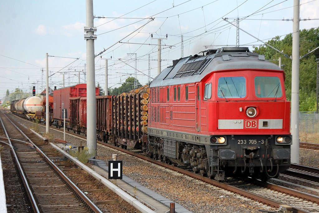 233 705-3 mit gemischtem Gterzug Richtung Berliner Innenring, 26.07.10 Berlin-Blankenburg. 