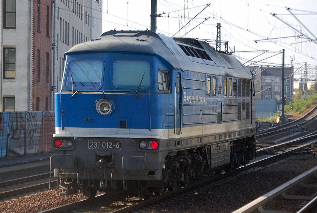 Inzwischen anscheinend wieder beim Eigentmer WFL die blaue regental cargo Lok 231 012-6 (92 80 0231 012-8 D-RBG) von Berlin Greifswalder Str. kommend Richtung Berlin-Spandau unterwegs, 20.10.11 Berlin-Wedding.  