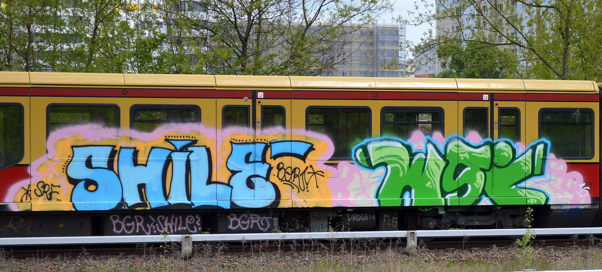 Graffiti gesichtet aam 03.05.16 Berlion-Hohenschönhausen.