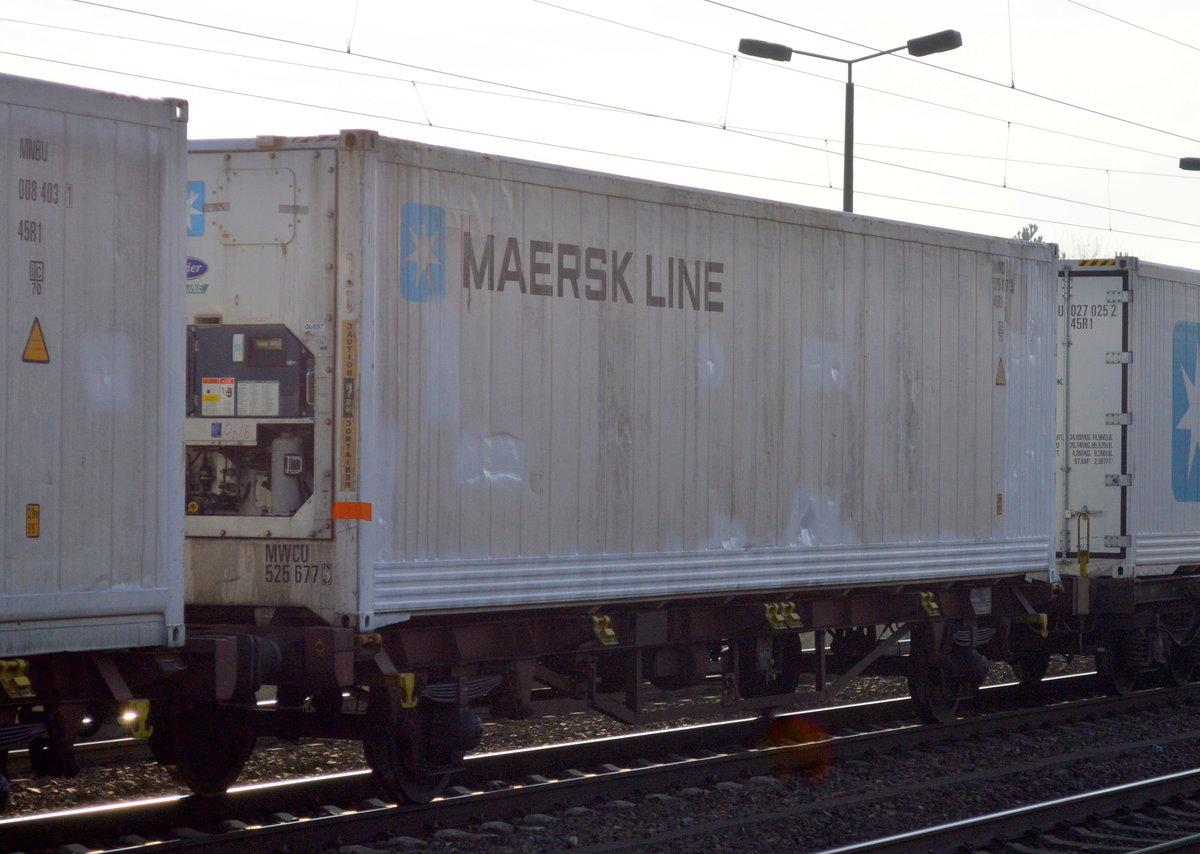 Kühlcontainer der weltgrößten dänischen Reederei Mærsk Line am 11.11.16 Bf. Flughafen Berlin-Schönefeld.