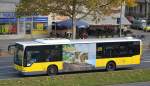 Eine ganze Flotte Busse im Süden Berlins werden im Auftrag der Berliner Verkehrsbetriebe (BVG) von der Fa. Der Südender GmbH betrieben, hier ein MB CITARO (Nr.8658) auf der Linie 163 Berlin Adlershof am 04.11.14