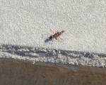 Eine Ameise hat eine kleinere Ameise erwischt, es sind recht groe rote Ameisen die ich dort vorfand, allerdings ist weit und breit kein dichter Wald sondern nur verwilderte Flur im Bahnbereich, daher wage ich keine Artenzuordnung, 08.07.10 Berlin-Karow.