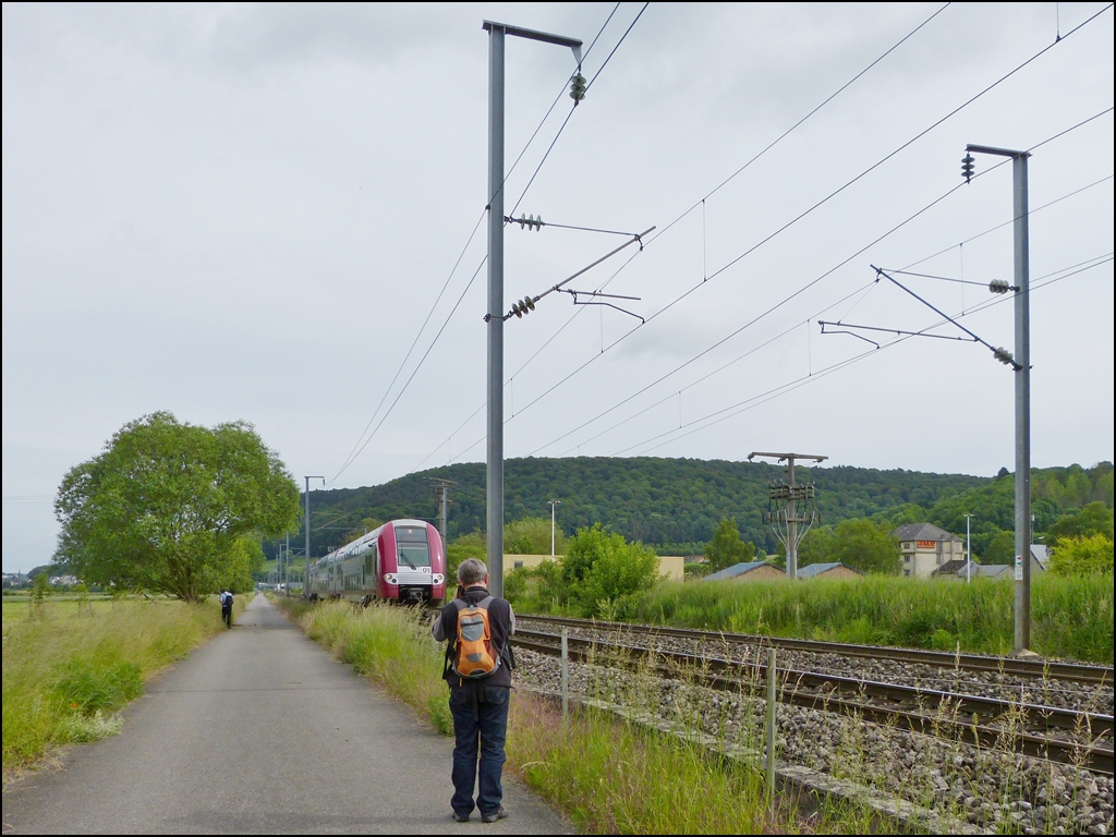 . Auf Motivsuche - Der Wanderweg zwischen Lintgen und Mersch bot den verschiedenen Fotografen zahlreiche M�glichkeiten ihre Lieblingsmotive zu finden. W�hrend Hans sich mit der Flora und Fauna besch�ftigt, hat Stefan die Computermaus Z 2201 im Visier: http://www.bahnbilder.de/bild/luxemburg~triebzuege~br-2200/699769/eine-computermaus-auf-der-fahrt-nach.html    15.06.2013 (Jeanny)