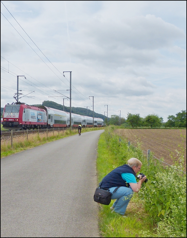. Eine Bahnfotografin auf Abwegen - Der vorbeifahrende IR 3710 Luxembourg - Troisvierges l�sst die nette Fotografin v�llig kalt, sie widmet sich seelenruhig der Flora und Fauna am Wegesrand zwischen Lintgen und Mersch. 15.06.2013 (Jeanny)