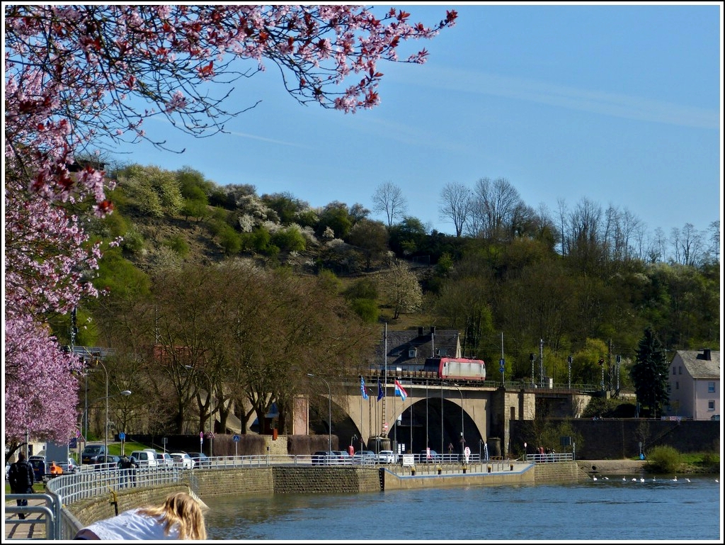 . Fr�hling in Wasserbillig - W�hrend unser lieber Feriengast vorne die Enten f�ttert, zieht hinten die 4004 einen G�terzug �ber die Sauerbr�cke in Richtung Deutschland. 01.04.2012 (Jeanny)