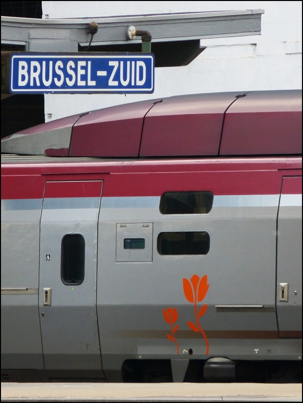 . Orangefarbene Tulpen f�r den Thalys - Zum Gl�ck kein Graffito, sondern das nationale niederl�ndische Symbol ziert den Thalys 4345 zum Thronwechsel in den Niederlanden. 10.05.2013 (Jeanny)