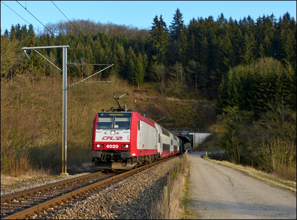 . Tunnelblick - Im besten Abendlicht des 20.03.2012 hat die 4020 mit dem RE 3766 Luxembourg - Troisvierges den Tunnel Lellingen verlassen und f�hrt dem Bahnhof Wilwerwiltz entgegen. (Jeanny)
