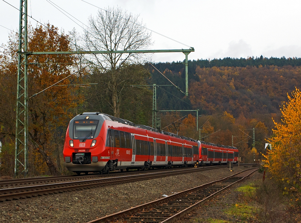 442 256 und 442 254 (Zwei gekuppelte 4-teilige Talent 2) f�hrt am 11.11.2012 als RE 9 (rsx - Rhein-Sieg-Express) Siegen - K�ln - Aachen in Richtung K�ln, hier bei Betzdorf-Bruche. Trotz dem heutigen Sonntag ist der Triebzug schon hier gut gef�llt, denn in K�ln ist was los, der Karneval ist er�ffnet.