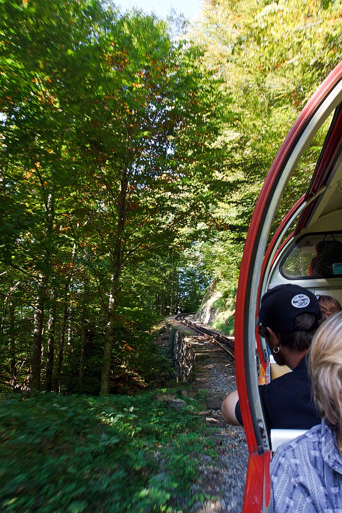 Am 01.10.2011 auf Bergfahrt mit der Heiz�l BRB 16 zum Brienzer Rothorn, zwischen Brienz und der Station Geldried, durch den Wald.