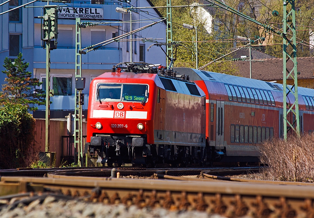 Die 120 207-6 (ex 120 136-7) zieht den RE 9 - Rhein Sieg Express (RSX) Aachen - K�ln - Siegen am 20.04.2013 nun vom Bahnhofes Betzdorf/Sieg weiter in Richtung Siegen.

Die Baureihe 120.2 bildet mit je f�nf neuen Doppelstockwagen jeweils einen Wendezug wegen der erh�hten fahrdynamischen Werte (f�nf statt bisher vier Wagen) wurden hierf�r im Jahre 2007 erstmals f�nf Loks dieser Baureihe mit einem Nahverkehrspaket (Zugzielanzeiger, Zugabfertigungssystem, Server u. a.) ausger�stet und in die Baureihe 120.2 mit neuer, fortlaufender Ordnungsnummer (201 bis 205) eingereiht, diese sind in Rostock beheimatet f�r den Hanse-Express. Mit maximal 160 km/h befahren sie die Strecken.

Ende 2010 wurden weitere drei Maschinen mit den neuen Ordnungsnummern 120 206 bis 208 (ehemals 120 136, 139, 117) an DB Regio Rheinland abgegeben. Sie werden in Nordrhein-Westfalen auf dem Rhein-Sieg-Express eingesetzt, mittlerweile durch DB Regio NRW. Diese bilden mit je sechs neuen Doppelstockwagen einen Wendezug (anstatt bisher f�nf Wagen).
