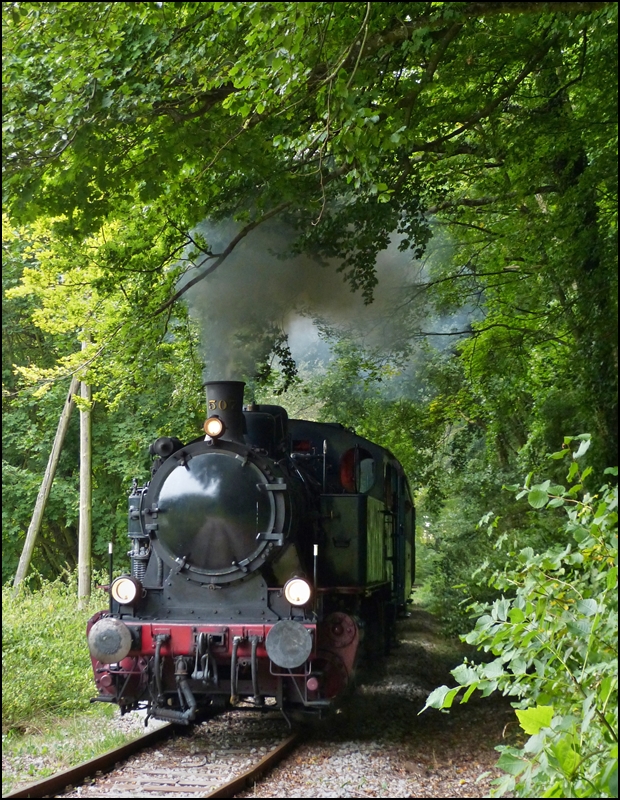 Die KDL 7  Energie 507  dampft mit ihrem Museumszug am 23.09.2012 durch den Wald auf der Strecke des  Train 1900  zwischen P�tange und Fond de Gras und wird in K�rze die Kreuzugnsstelle Fuussb�sch erreichen. 

Die  Energie 507  ist eine Lok der deutschen Typenreihe der Kriegsdampflokomotiven KDL 7. Diese Typenreihe wurde von der deutschen Industrie im Verlaufe des zweiten Weltkrieges aufgestellt. Die Loks sollten von mehreren Fabriken gebaut werden, vornehmlich in den besetzten L�ndern. So erhielt die belgische Fabrik  Energie  in Marcinelle ebenfalls den Auftrag ein Baulos von 50 St�ck zu erstellen. Bedingt durch die angespannte Lage in der Rohstoffbeschaffung und der Arbeitskr�fte im vierten Kriegsjahr verz�gerte sich die Fertigstellung. Die mangelnde Bereitschaft der Belgier zum Endsieg beizutragen, tat ihr �briges. So wurden die Loks erst 1946 fertiggestellt und im Laufe der folgenden Jahre an Industrien verkauft. 

Dieses Exemplar gelangte 1952 an die  Fours � Coke de Zeebrugge , wo es bis 1970 in Betrieb stand. Dann wurde es in der Halle eines Altwarenh�ndlers in Maldegem untergestellt. Dort wurde es von einem AMTF Mitglied entdeckt, es bedurfte jedoch z�her Verhandlungen, um zu f�r beide Seiten annehmbare Bedingungen einer Transaktion zu gelangen. (Jeanny)
