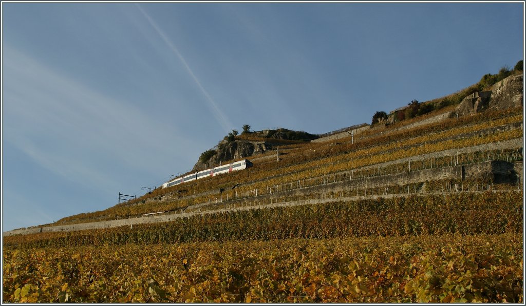 Die S31 unterwegs nach Puidoux-Chexbres.
29. Okt. 2012