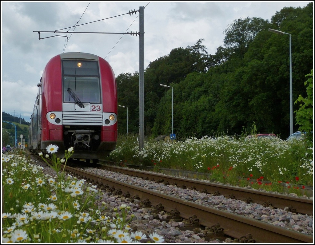 Die Stichstrecke Ettelbr�ck - Diekirch f�hrt gr��tenteils durch eine schmucklose Industriezone, am 12.06.2012 jedoch fuhr die Computermaus 2223 in Mitten wundersch�ner Blumenbeete hindurch in Richtung Diekirch. (Jeanny)