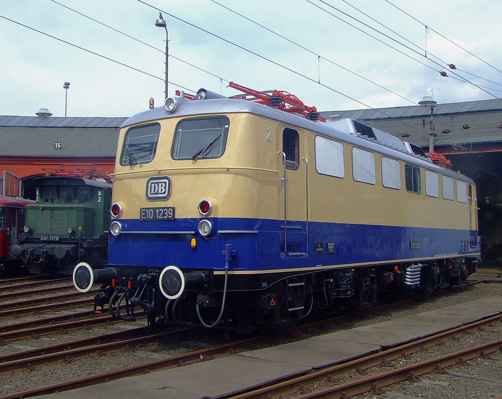 E10 1239 am 12.04.2009 ausgestellt im S�dwestf�lische Eisenbahnmuseum, Siegen. Die Lok ist wieder in den Anlieferzustand von 1962 zur�ckversetzt. Die Lok ist eine von den f�nf E10´s die 1962 modifizierte bzw. neuentwickelte Drehgestelle bekamen, die ihnen f�r den Einsatz vor dem Rheingold eine H�chstgeschwindigkeit von 160 km/h erm�glichten.