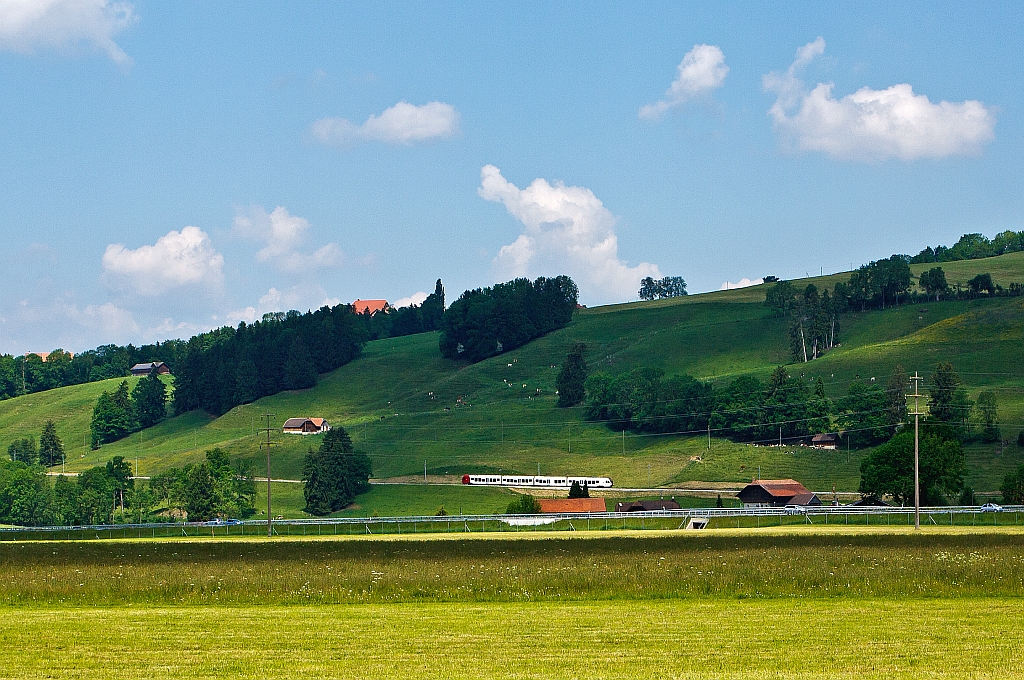 Ein 4-teiliger Flirt (RABe 527) der tpf (Transports publics fribourgeois) auf der Strecke Romont – Bulle, hier am 28.05.2012 kurz vor Planchy. Ein Blick aus dem fahrendem Zug der Strecke Pal�zieux - Bulle - Montbovon. Ganz viel  Linsenputzer  (K�he) sind auch im Bild......