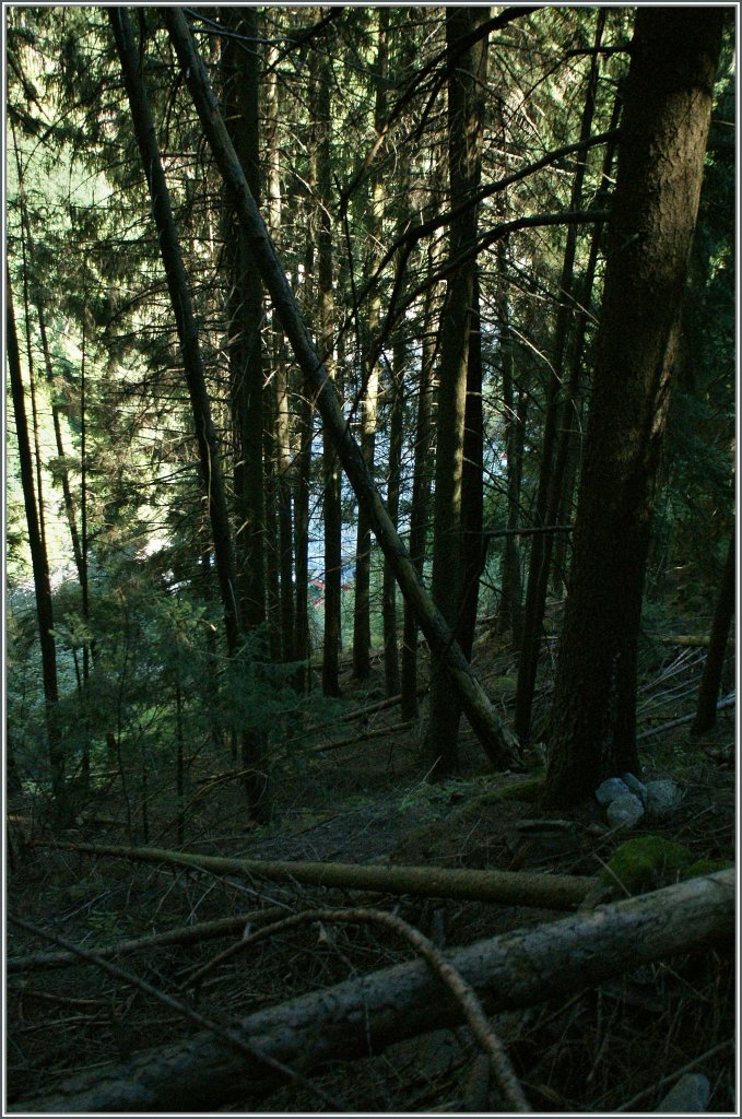 Ein Bahnsuchbild f�r Fortgeschritten: MGB HGE mit einem Regionalzug nach Zermatt im Wald zwischen Kalpetran und St. Niklaus. 
11. August 2012