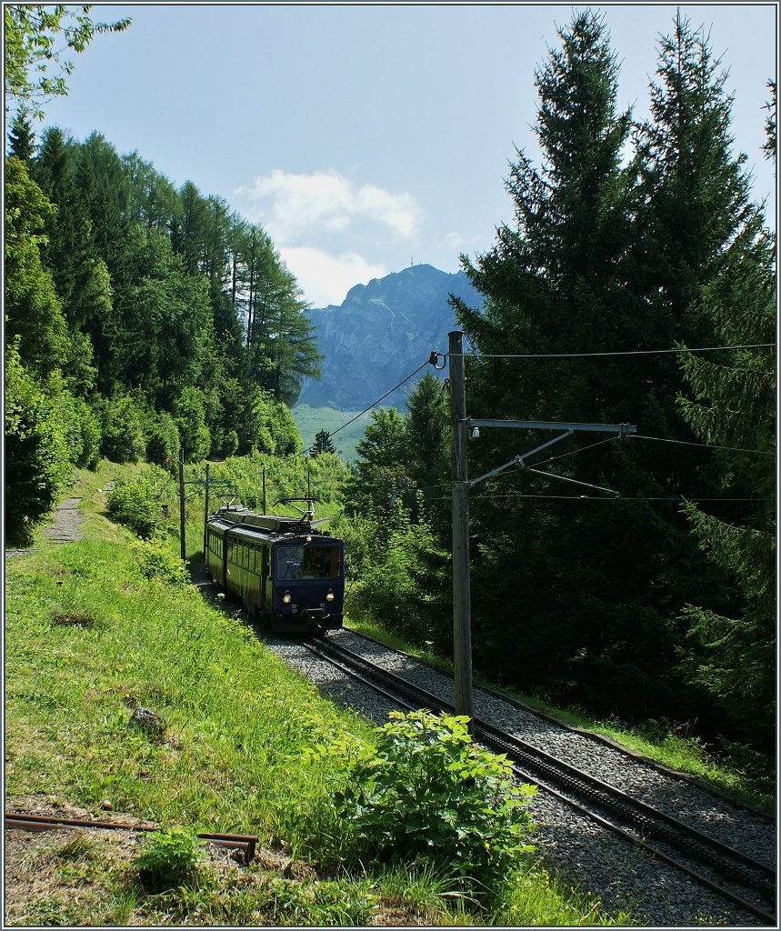 Ein Rochers-de-Naye Zug auf der Fahrt ins Tal bei Caux.
(03.08.2013)