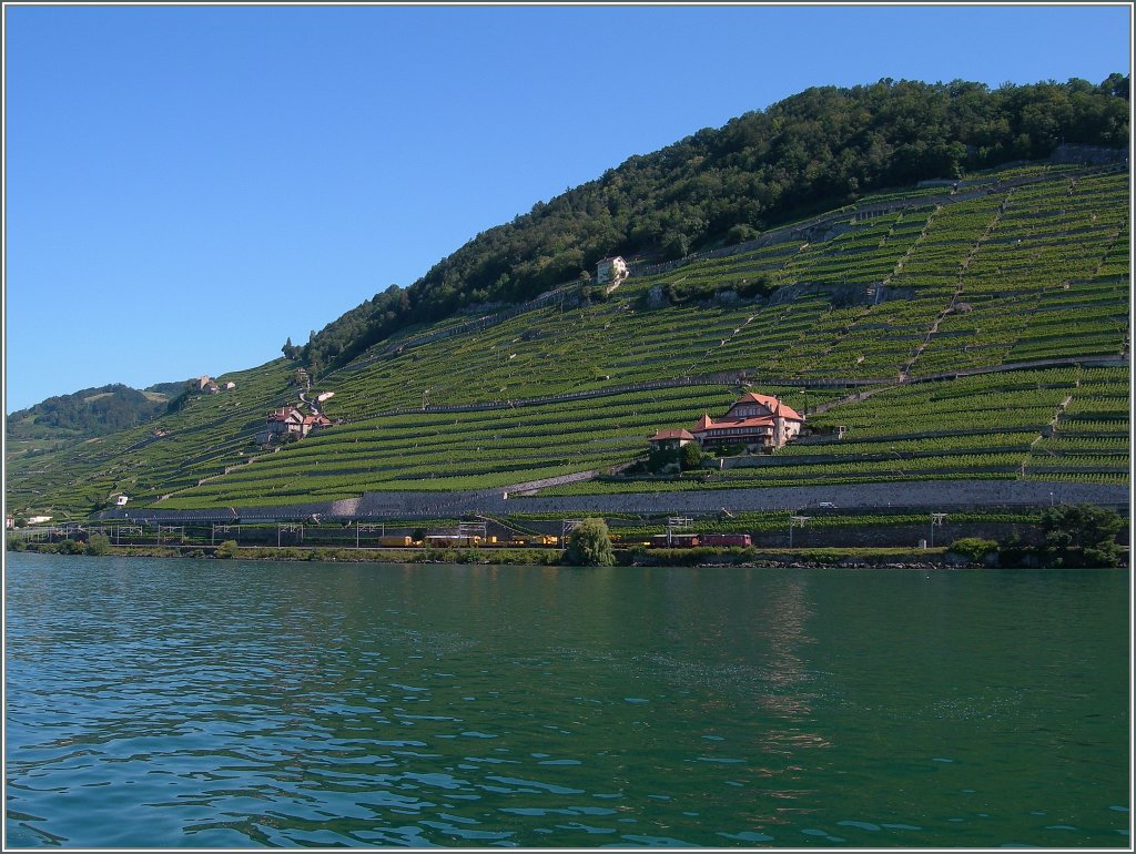 Eine Re 4/4 II mit einem Dienstzug unterwegs zwischen Villette (VD) und Rivaz. 
17. Juli 2012