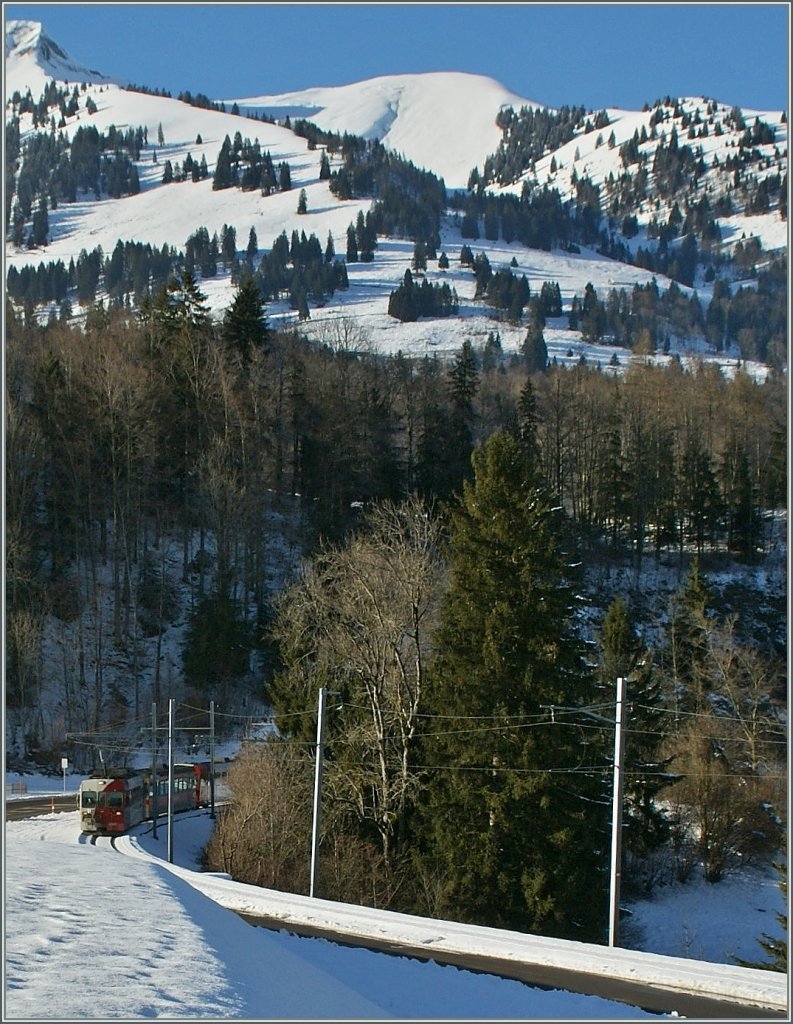 Gut getarnt zeigt sich der TPF Regionazug kurz nach Lessco auf der Fahrt nach Montbovon. 
28. Jan. 2013