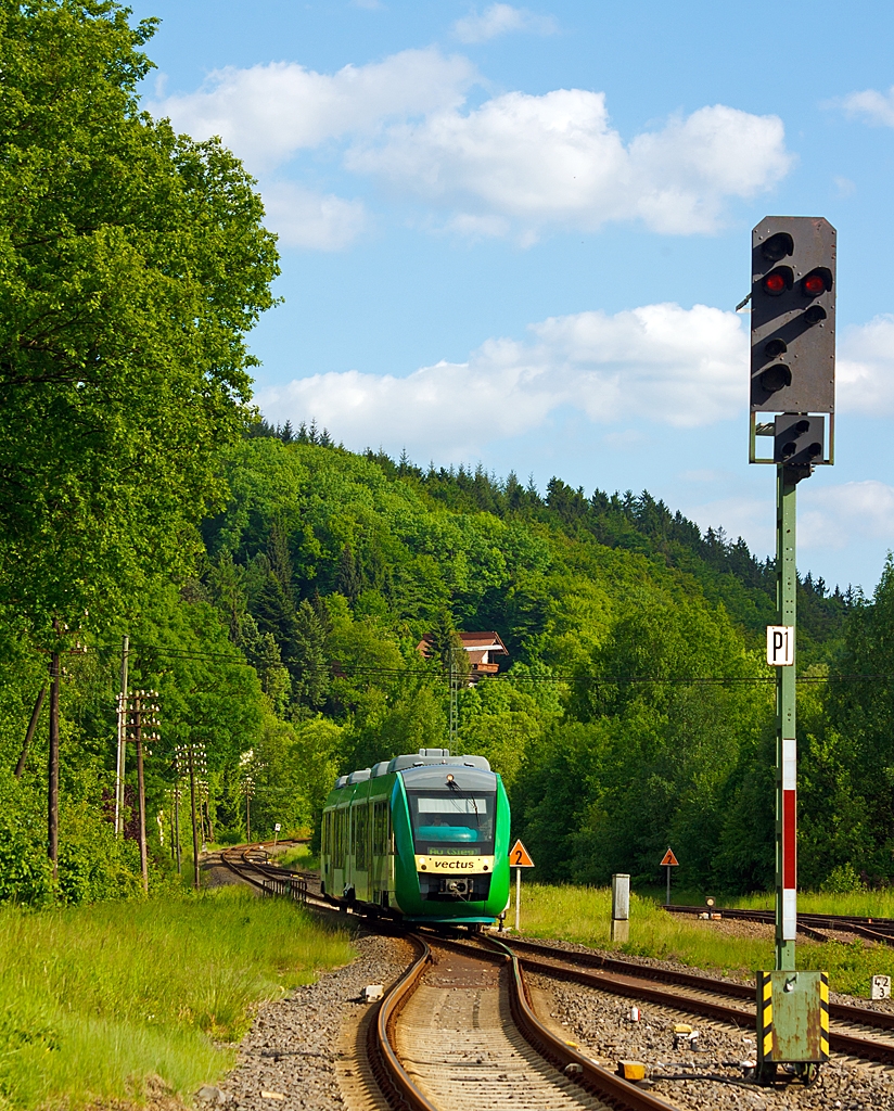 In den gr�nen W�ldern des Westerwaldes....
Der VT 261 (95 80 0648 161-7/661-6 D-VCT) der vectus Verkehrsgesellschaft mbH am 04.06.2013 kurz vor der Einfahrt in den Bahnhof Nistertal / Bad Marienberg (fr�her Bf Erbach/Westerwald). 
Er f�hrt als RB 28 auf der Oberwesterwaldbahn (KBS 461) die Verbindung Limburg(Lahn) - Westerburg - Hachenburg - Altenkirchen - Au (Sieg).