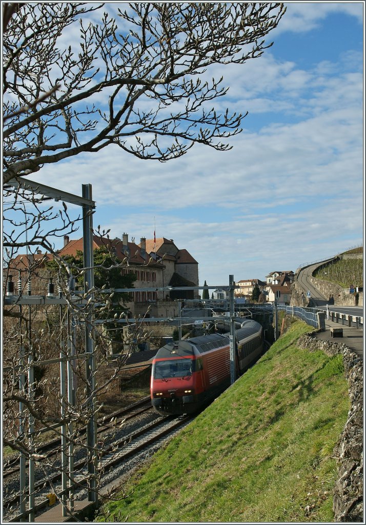 Keine sehr gute Fotostelle, aber die Knospen am Baum waren mir heute die Verr�nkung wert...
SBB Re 460 079 mit einem IR Richtung Wallis am 3. Januar 2013.
