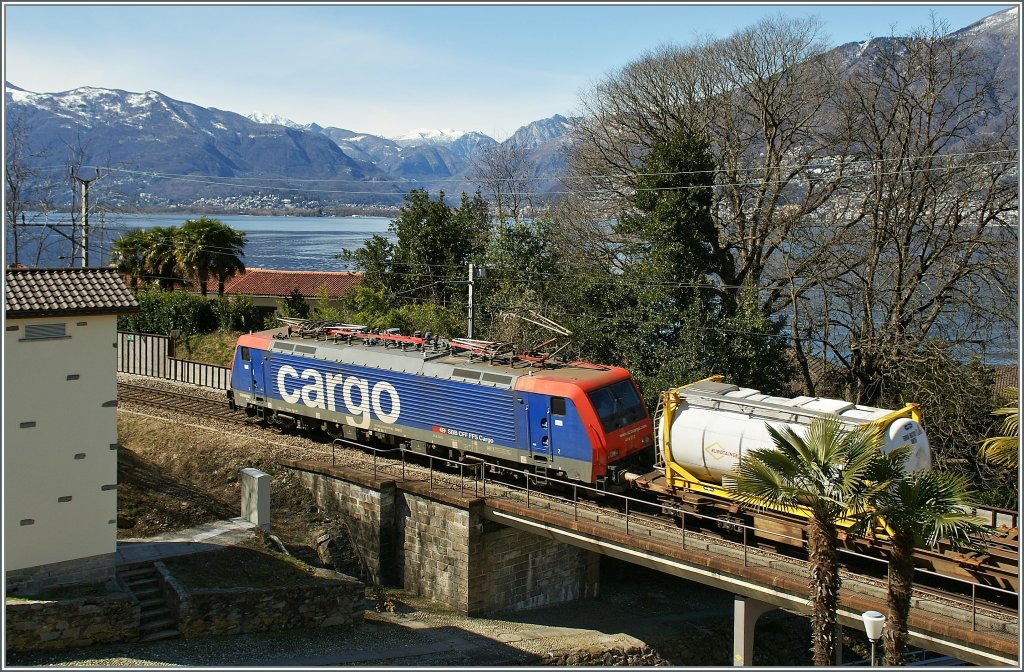 Magadino, jedem (Schweizer)-Geografie Sch�ler ein Begriff: Die Magadino-Ebene gilt als der tiefste Punkt der Schweiz. Bis zur Kanalisierung des Ticinos Sumpfland ist die Magadino-Ebene seither fruchtbares Agrarland. Doch der Namensgebende Ort liegt bereits am etwas schattigen Nordhang des Monte Ceneri. 
Und folglich auch die Bahnstrecke, nach Luino, welche ab Bellinzona, eine Alternative zum klassischen Strecke via Chiasso nach Italien bildet. 
Hier zieht eine SBB Re 474, an einer kleinen  Fotozellennische  in Magadino einen G�terzug Richtung S�den.
21. M�rz 2013