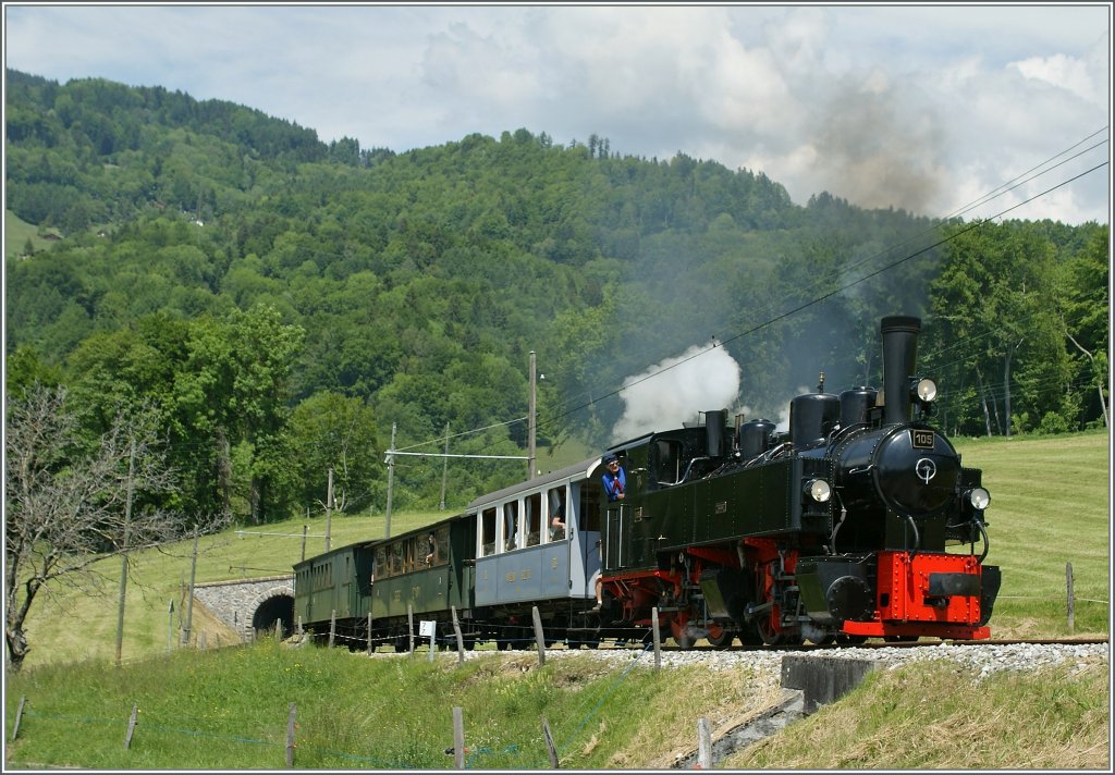 Mein Willkommensgruss f�r Frank, verbunden mit der Hoffnung dass er diese Lok bald selbst fotografieren kann...
Bei Conraux, den 27. Mai 2012