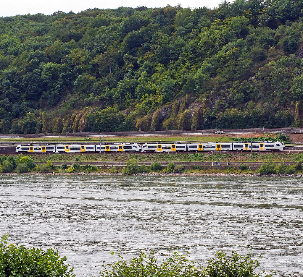 Zwei gekuppelte 460 er Triebz�ge (Siemens Desiro ML II) der trans regio MittelrheinBahn (MRB 26) fahren am 11.08.2011 auf der linken Rheinseite, gegen�ber von Unkel, abw�rts in Richtung K�ln.