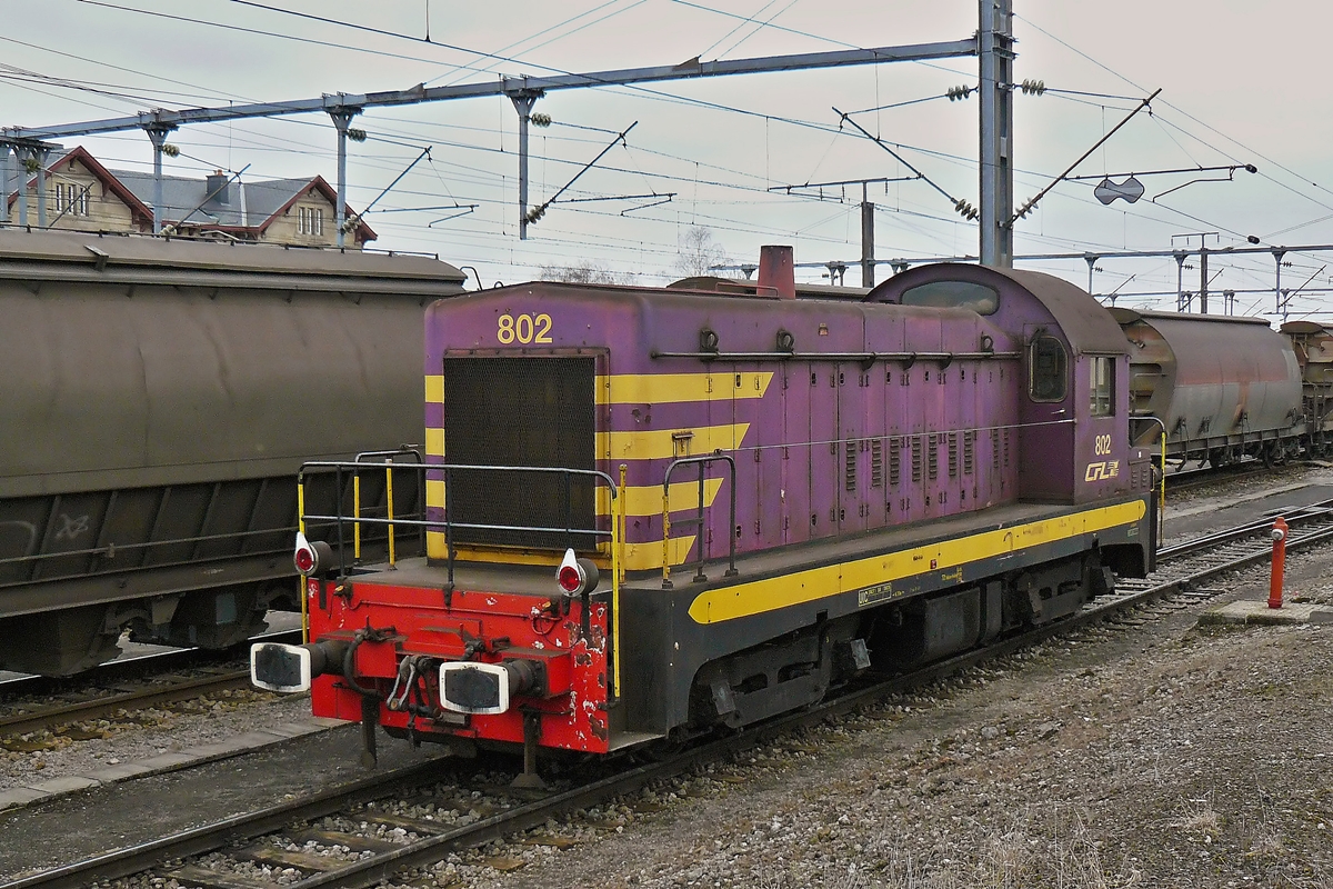 . Aus dem Archiv - Die Dieselok 802 durchf�hrt am 24.02.2009 den Bahnhof von P�tange. (Hans)

Die Geschichte der CFL S�rie 800: 

Die Baureihe 800 waren eine Serie von sechs Diesellokomotiven der Chemins de Fer Luxembourgeois (CFL).

Drei Maschinen der 1954 von AFB gebauten diesel-elektrischen Lokomotiven wurde in den 2000er Jahren verschrottet, zwei sind nicht betriebsf�hig abgestellt, w�hrend ein Fahrzeug noch 2011 zum Einsatz kam. Neben den Triebwagen der Baureihe Z 200 waren die schweren Rangierlokomotiven die einzigen speziell f�r die luxemburgische Staatsbahn konstruierten Fahrzeuge.

Die CFL beabsichtigen zu Beginn der 1950er Jahre, Dampflokomotiven im personalintensiven Rangierbetrieb durch Diesellokomotiven abzul�sen. Neben einer Serie mit 400 PS (der sp�teren Baureihe 450) sollten auch sechs Lokomotiven mit 750 PS beschafft werden. Neben dem schweren Rangierdienst geh�rte auch das Nachschieben zum Lastenheft. 1953 wurden die sechs Fahrzeuge bei AFB bestellt, der Gesamtpreis sollte 40 Millionen Franken betragen. Vorbild der Konstruktion f�r die CFL war die SW8 von General Motors.

1954 wurden die Fahrzeuge geliefert und kamen seitdem ausschlie�lich im G�terverkehr zum Einsatz.

2004 wurden zwei Fahrzeuge ausgemustert, 2005 ein weiteres. Von den drei verbliebenen Lokomotiven wurden zwei 2010 ausgemustert, w�hrend die CFL 802 auch 2011 noch zu Aushilfseins�tzen kam. Drei der ausgemusterten Rangierlokomotiven wurden mittlerweile verschrottet, die CFL 804 soll als Museumsfahrzeug erhalten bleiben, die CFL 806 wurde 2010 nach Belgien verkauft.

Die technischen Date der CFL S�rie 800:

Nummerierung: 801–806 
Anzahl: 6 
Hersteller: AFB 
Baujahr: 1954 
Ausmusterung: ab 2004 
Achsformel: Bo'Bo' 
Spurweite: 1435 mm (Normalspur) 
L�nge �ber Puffer: 13.795 mm 
H�he: 4.120 mm 
Drehzapfenabstand: 6.700 mm 
Kleinster bef. Halbmesser: 70 m 
Dienstmasse: 74 t 
Radsatzfahrmasse: 18,5 t 
H�chstgeschwindigkeit: 80 km/h 
Installierte Leistung: 875 PS (643,56 kW) 
Treibraddurchmesser: 1.050 mm 
Tankinhalt: 3.300 l
