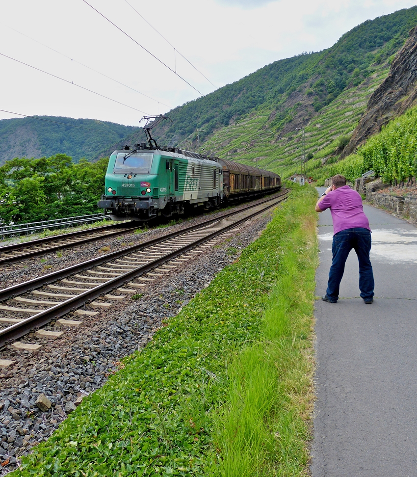 . Der Fotograf und sein Sujet - Besonders viel M�he gibt sich der nette Fotograf beim Ablichten der SNCF Fret Prima BB 37015, als diese am 20.06.2014 ihren G�terzug �ber die Moselstrecke in Richtung Winnigen zieht. (Jeanny)