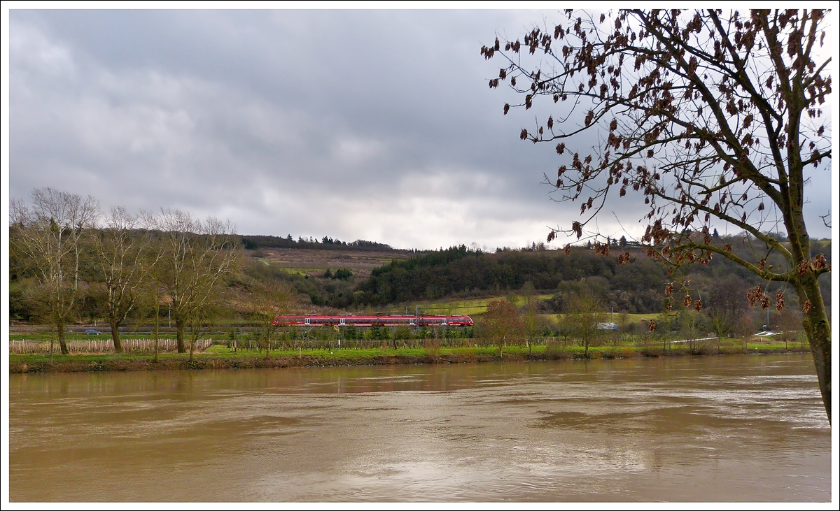 . Hochwasser an der Mosel - Die Mosel f�hrte leichtes Hochwasser am 08.01.2014, als der vierteilige Hamster auf die Obermoselstrecke zwischen Oberbillig und Temmels unterwegs war. (Jeanny)  