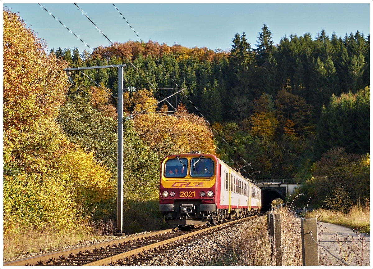 . Im warmen Abendlicht des 22.10.2013 f�hrt der Z 2021 als RE 3765 Ettelbr�ck - Troisvierges durch Lellingen. Hoffentlich kommt niemand auf die Idee diesen praktischen alten Zaun durch ein gr�nes Monstrum zu ersetzen. ;-) (Jeanny)