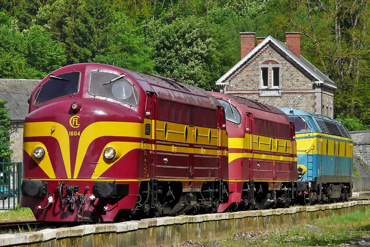 . Rundnasen Parade in Spontin - Anl�sslich eines Rundnasen Treffens am 16.05.2009 auf der belgischen Museumsstrecke  Le Chemin de Fer du Bocq  konnte ich die beiden CFL Rundnasen 1604 und 1603 zusammen mit der SNCB HLD 5529 in Spontin fotografieren. (Jeanny)