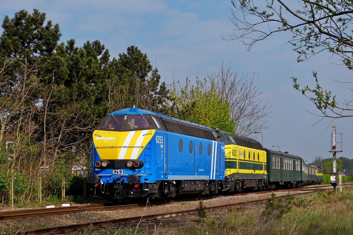 . Wie versprochen zeige ich noch zwei Bilder der HLD 6253 in der neuen Infrabel Farbgebung - W�hrend der TSP/PFT Sonderfahrt  Hommage aux locos de la S�rie 62  am 05.04.2014 konnte die sch�ne Lok im Bahnhof von Zelzate bildlich festgehalten werden.(Hans)