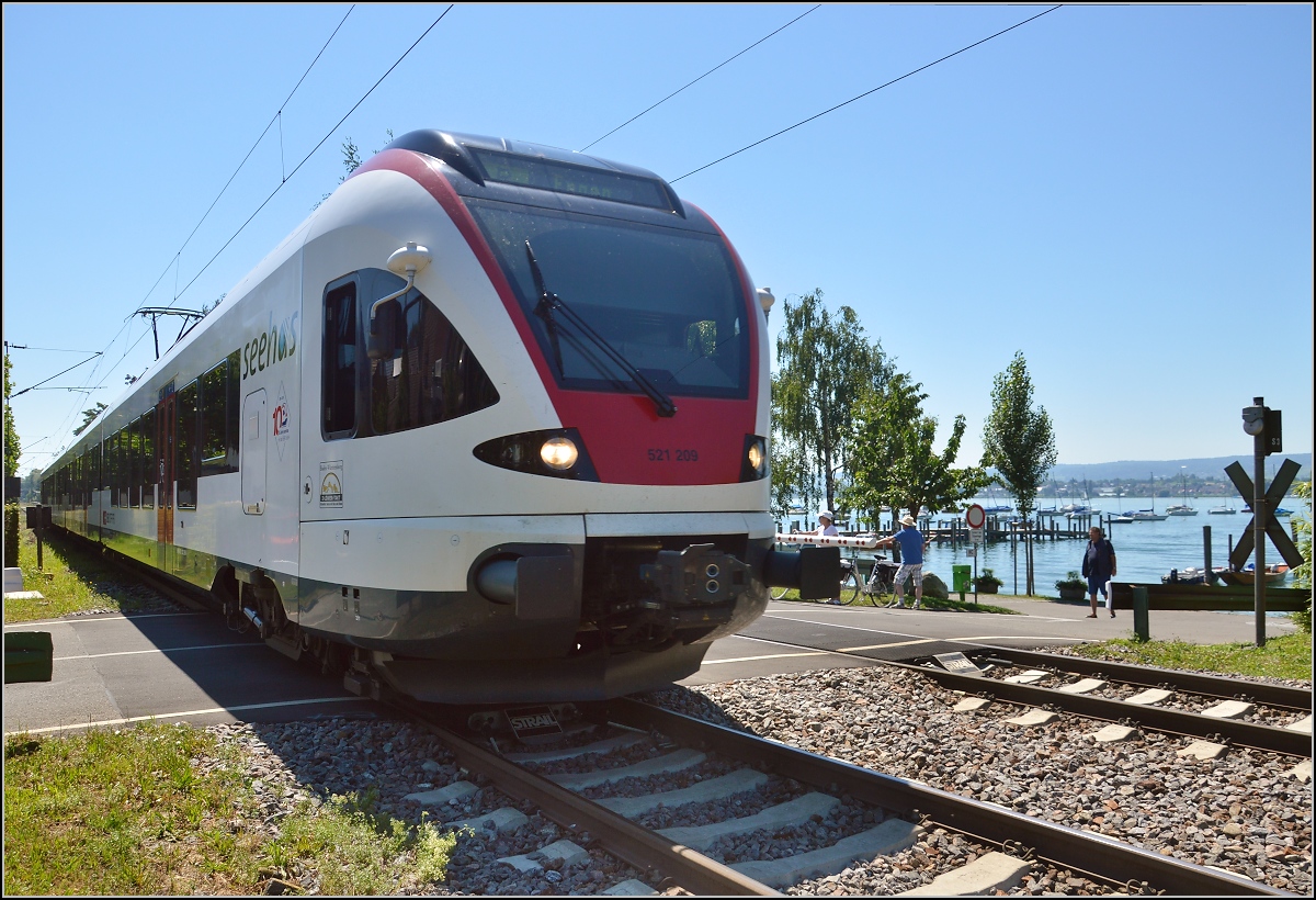 10 Jahre Seehas mit der SBB.

Ein Sommerbild mit Seehas. Allensbach, Juni 2015.