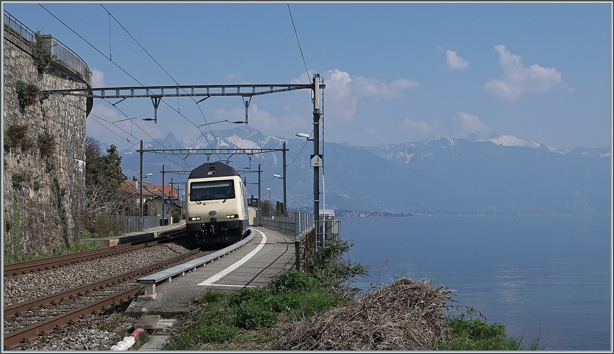 175 Jahre Schweizer Bahnen - Von vorne gefällt mir die Jubiläumslok mit der schlichen Farbe am Besten.

Die SBB Re 460 019 mit dem IR 90 1720 bei St-Saphorin. 

25. März 2022