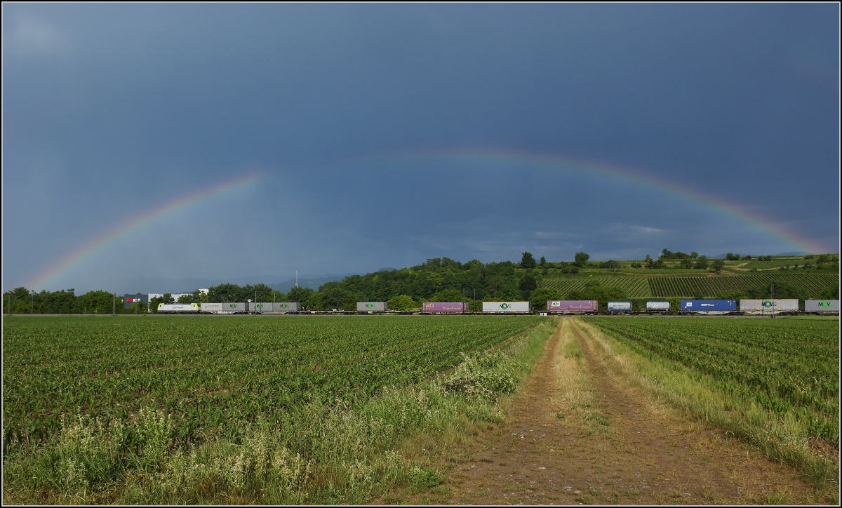 186 158 Captrain mit Regenbogen bei Buggingen. Juni 2022.