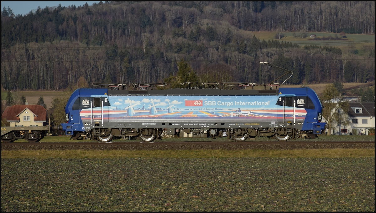 193 525 'Rotterdam' mit Hollanddesign (Hollandpiercer) in Hendschiken. Das Motiv auf der Lok ist leicht unpassend zum Hintergrund, dafür die Lok schön sauber. Januar 2022. 