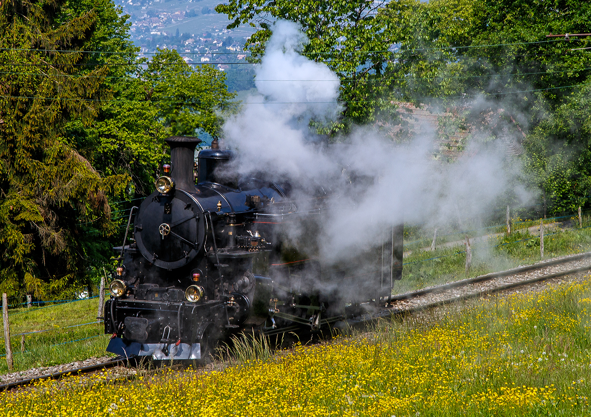 
50 Jahre BC - MEGA STEAM FESTIVAL der Museumsbahn Blonay–Chamby:
Die F.O.4 bzw. DFB HG 3/4 Nr. 4, ex B.F.D. 4 (Brig-Furka-Disentis, später FO - Furka-Oberalp), fährt am 19.05.2018 von Chaulin nach Blonay hinab.

Die B.F.D. HG 3/4 ist eine von zehn von der Schweizerische Lokomotiv- und Maschinenfabrik (SLM) gebauten Dampflokomotiven für gemischten Adhäsions- und Zahnradbetrieb für die Brig-Furka-Disentis. Diese hier wurde 1913 unter der Fabriknummer 2318 gebaut.