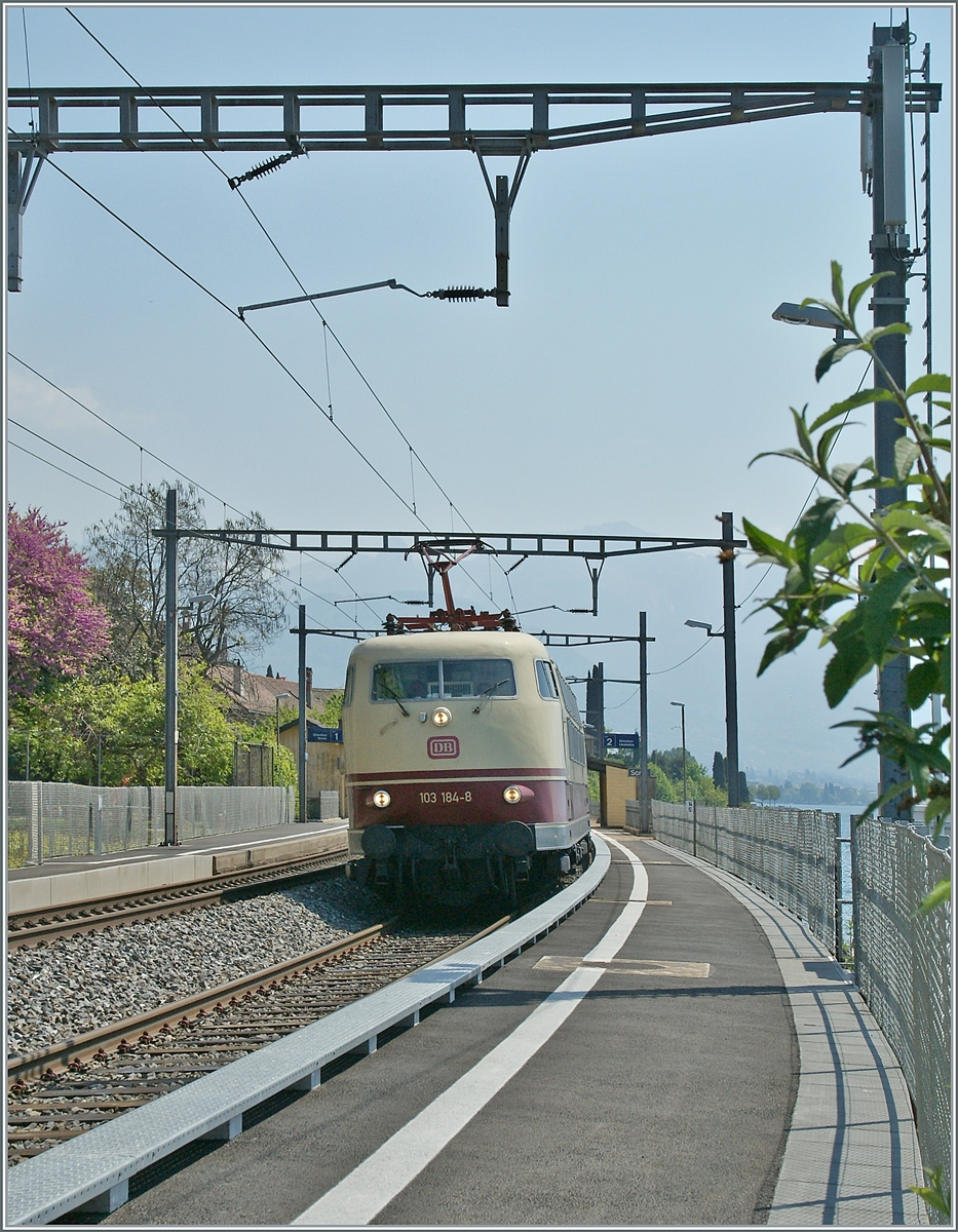 Angenehm  überrascht wurde beim Warten in St-Saphorin der wunderschönen 103 184-8 die mit einem  TEE  Zug in Richtung Lausanne fuhr. Leider war die DB 103 184- nur wenige Jahre mit TEE-Sonderzügen in der Schweiz unterwegs, da die Änderung der Sicherheitsvorrichtungen (Zugbeeinflussung) dann doch finanziellen Möglichkeiten nicht mehr zu rechtfertigne schien.  

26. April 2011