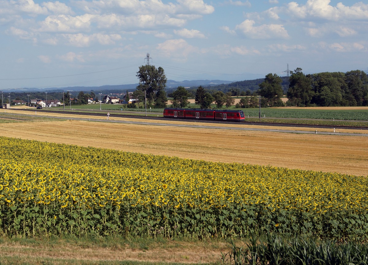 ASm: Mit der ASm uterwegs am späteren Nachmittag bei Wiedlisbach am 11. Juli 2015. Die Sonnenblumen kehrten dem Bahnfotografen den Rücken und warfen ihren Blick auf das  BIPPERLISI 
Foto: Walter Ruetsch