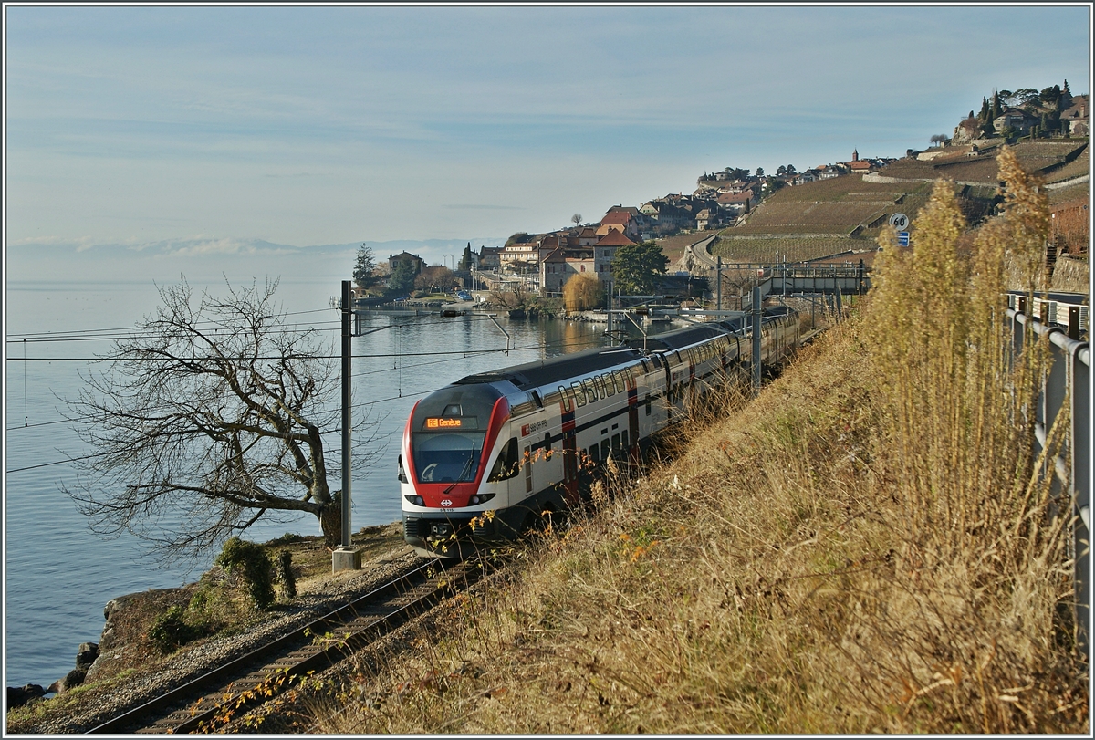 Auf der Suche nach Abwechlung an bekannte Fotostellen kam ich auf die Idee zu diesem Bild: Ein RABe 511 115 als RE nach Genève.
1. Jan. 2014  