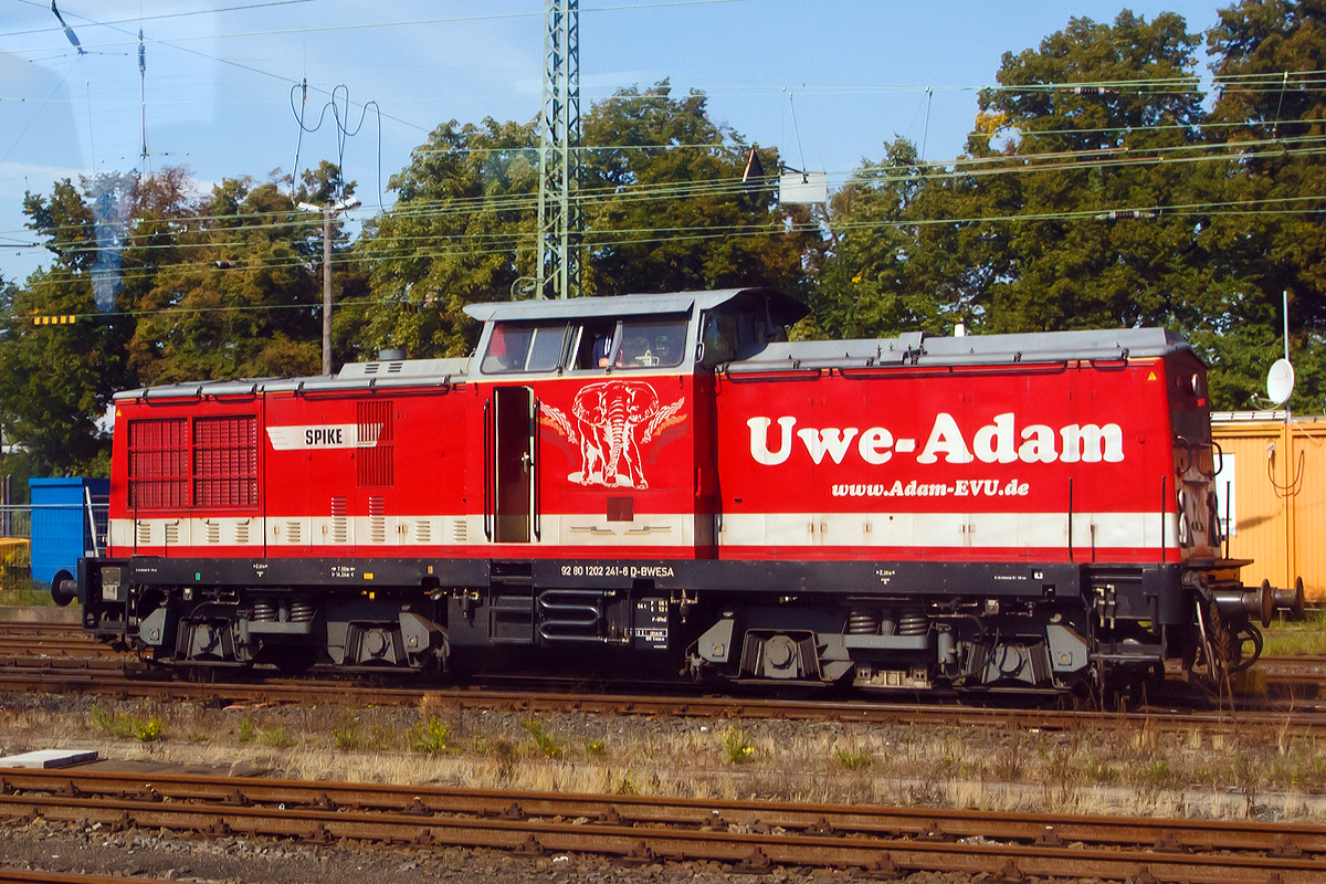 
Aus dem Zug heraus konnte ich am 27.08.2014 in Gie�en, leider mit Spiegelungen, die 202 241-6 (92 80 1202 241-6 D-BWESA)  Spike  der Uwe Adam EVU GmbH, ex DB 202 241-6, ex DR 112 241-5, ex DR 110 241-7, fotografieren.

Die V 100.1 wurde 1970 bei LEW (VEB Lokomotivbau Elektrotechnische Werke „Hans Beimler“, Hennigsdorf) unter der Fabriknummer 12523 gebaut und als 110 241-7 an die DR (Deutsche Reichsbahn) ausgeliefert. 1981 erfolgte eine Remotorisierung unter Verwendung eines 12-Zylinder-Viertakt-Dieselmotor vom Typ 12 KVD 18/21 AL-4 mit 1200 PS (883 kW) Leistung und die Umzeichnung in DR 112 241-5. Im Jahr 1992 erfolgte die Umzeichnung in DR 202 241-6 und 1994 dann in DB  202 241-6, die Ausmusterung bei der DB erfolgte 2000. 