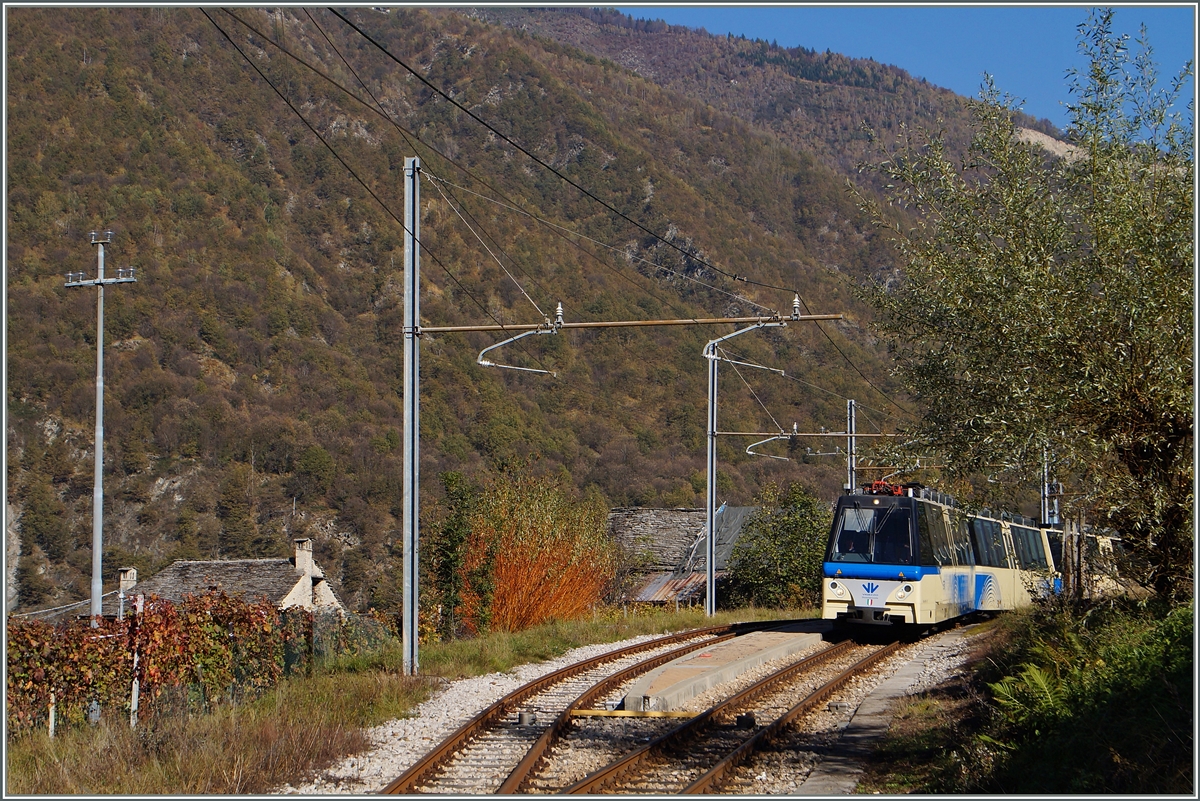 Aus der Gegenrichtung folgte eine halbe Stunde darauf der ABe 12/16 (ABe/P/Be/Be) 81  Domodossola  im herbstlichen Verigo als D 40 P auf dem Weg nach Domodossola.
31. Okt. 2014 