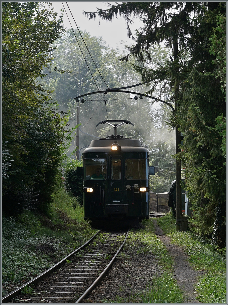 Autour de la voie ferrée / Rund um die eiserne Bahn (Herbstevent 2024) - Dieses Jahr zu Gast bei der Blonay-Chamby Bahn: der wunderschön hergerichtet GFM (Historique) BDe 4/4 141 in  Tannengrün ; der Triebwagen wurde 1972 gebaut. Das Bild zeigt den GFM Triebwagen bei  der Ankunft in Chaulin; für den mystischen Rauch und Dampf sorgen die Dampfloks in der Lokbehandlung.

7. Sept. 2024
