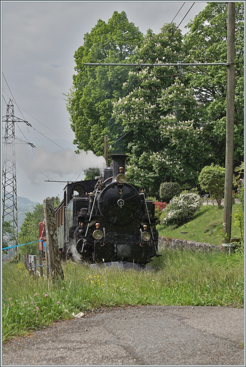 Bei Chaulin kämpft sich die BFD HG 3/4 N° 3 der Blonay - Chamby Bahn durch die Vegetation. 

3. Mai 2025