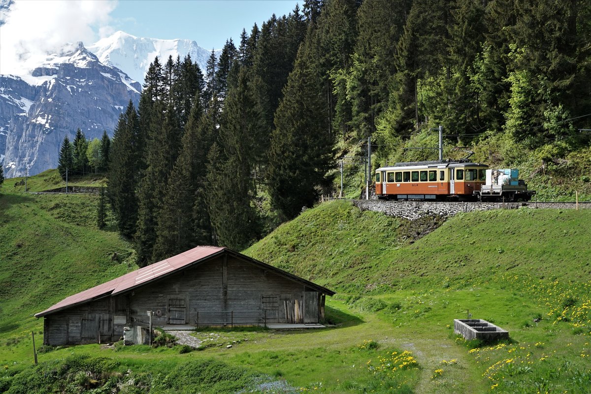 Bergbahn Lauterbrunnen-Mürren.
Regionalzug bestehend aus dem BDe 4/4 21, 1967, SIG/BBC/SAAS, auf der Fahrt nach der Umsteigestation Grütschalp. Die Aufnahme entstand am 24. Mai 2018 kurz vor der Endstation Grütschalp.
Foto: Walter Ruetsch

