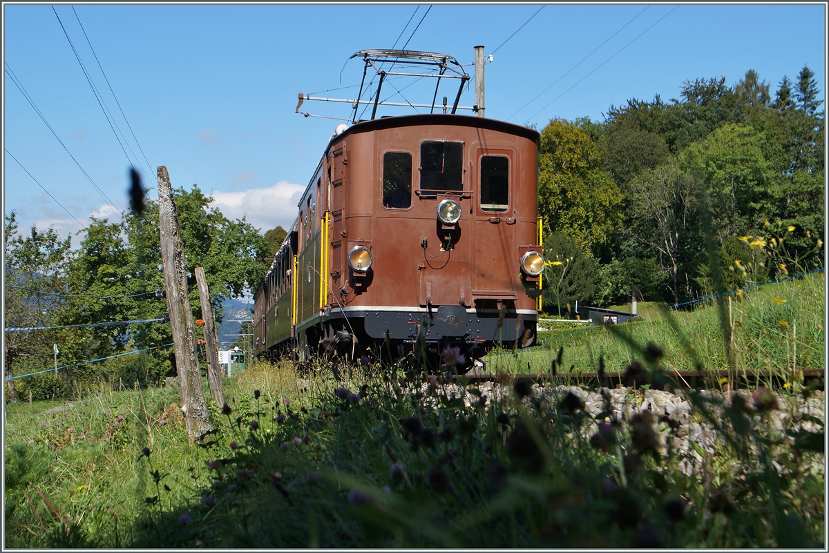  BERNE EN FETE  bei der Blonay Chamby Museumsbahn - die BOB HGe 3/3 N° 29, welche 1926 als letzte Lok den 1913/14 gelieferten Vorgängerloks zur BOB kam hier kurz vor Chaulin.
13. Sept. 2014