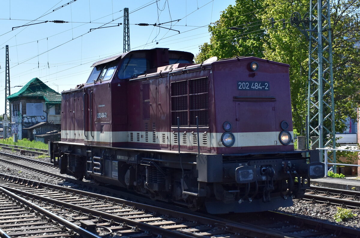 Cargo Logistik Rail-Service GmbH, Barleben-Ebendorf mit ihrer  202 484-2  [NVR-Nummer: 92 80 1203 229-0 D-CLR] am 29.04.26 Höhe Bahnhof Magdeburg-Neustadt.