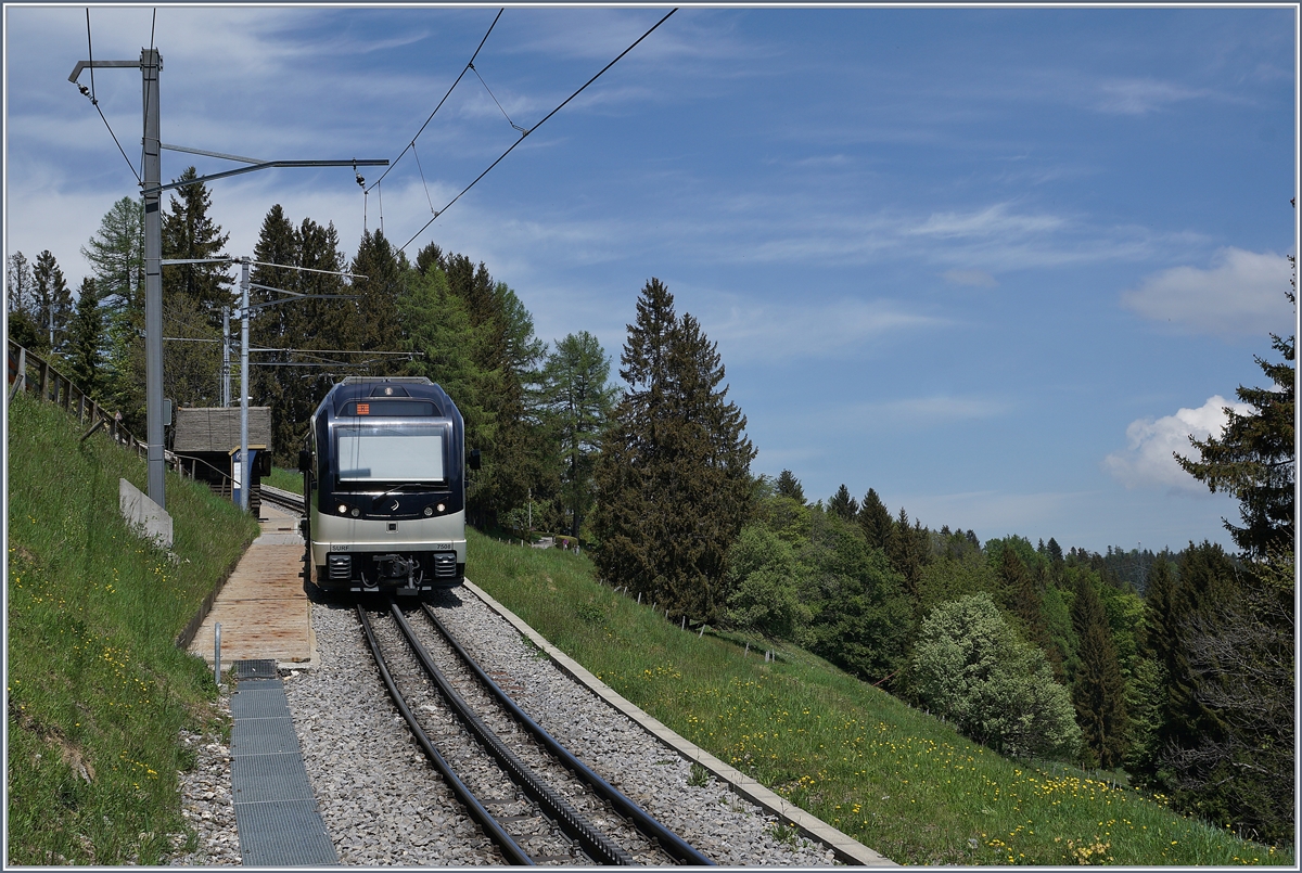 Da die Strecke von Lally bis auf dem Les Pléiades als *touristischer Verkehr  eingestuft wird, wendeten die CEV MVR Züge währen der erste Welle des Covid 19 in Lally. 

Im Winter 2020/2021 hingegen verkehren die Züge bis zur Endstation Les Pléiades, dürfen aber ab Lally gemäss Skilift und Seilbahnbestimmungen (!) nur zu 2/3 besetzt sein.

Im Bild der CEV MVR SURF ABeh 2/6 7502  Blonay  

8. Mai 2020